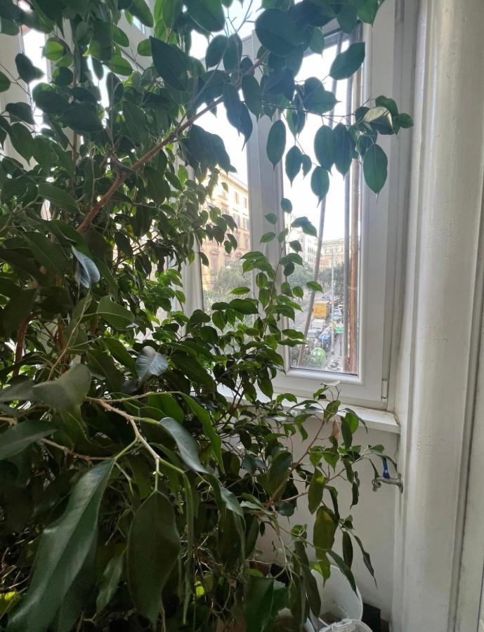 Cicerone Appartement Rome
